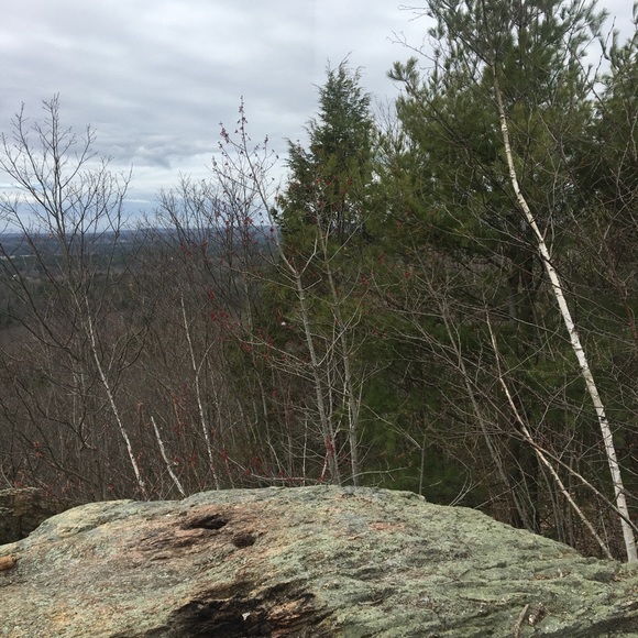 Meet your Posher, Deanna - Picture 1 of 1